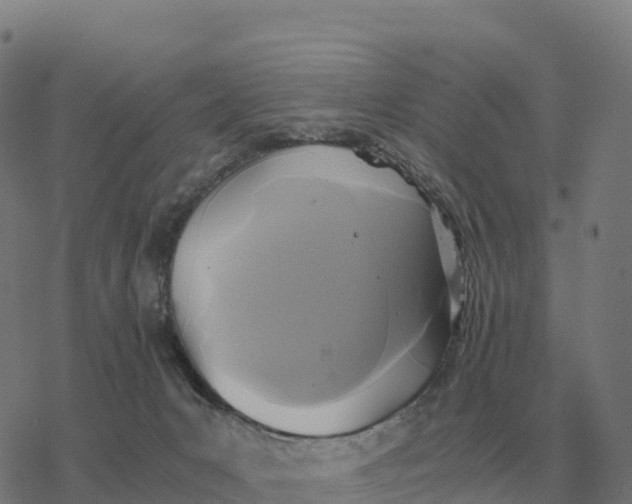 X0000076430031200610271744