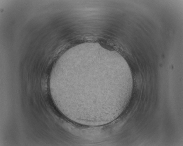 X0000076430032200610271744