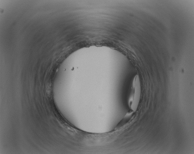 X0000076430033200610271744