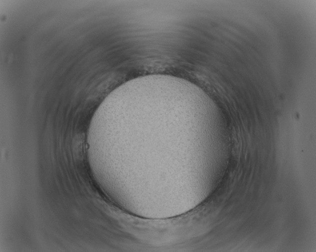 X0000076430034200610271744