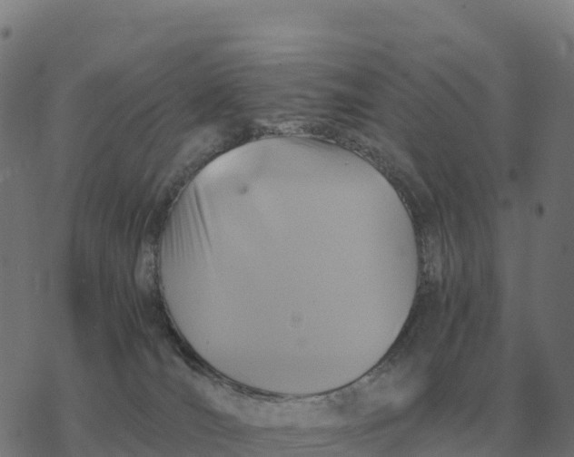 X0000076430036200610271744