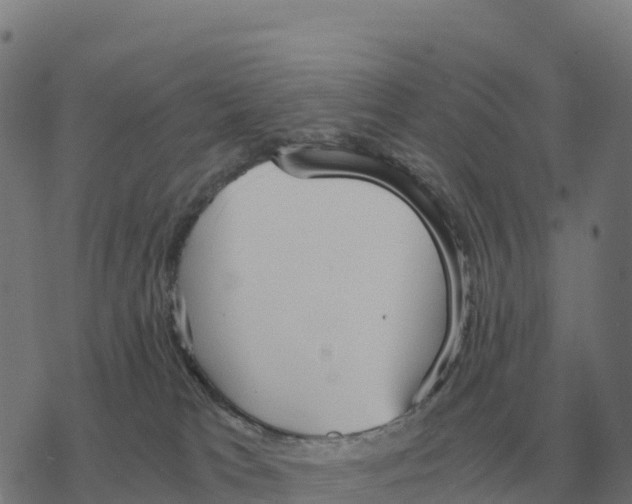 X0000076430037200610271744