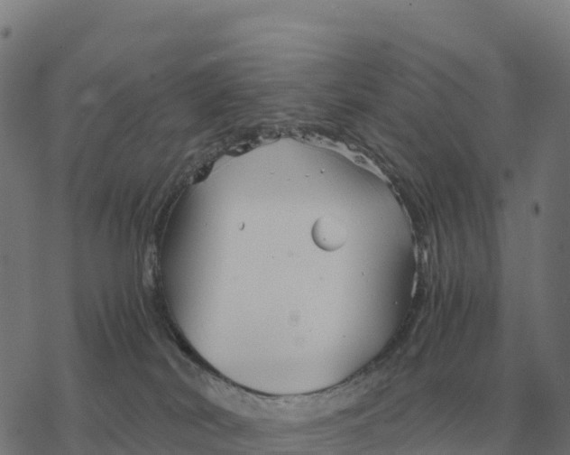 X0000076430038200610271744