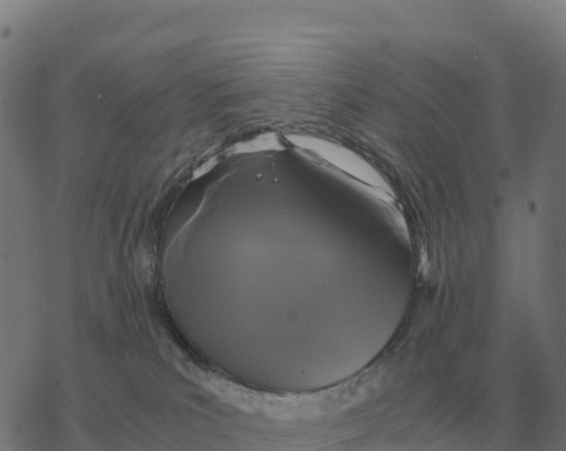 X0000076430039200610271744