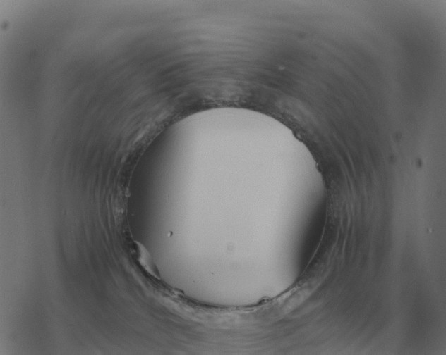 X0000076430040200610271744