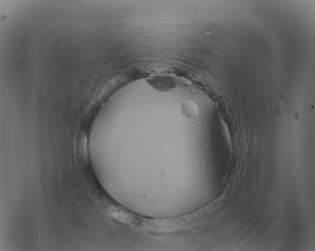 X0000076430041200610271744