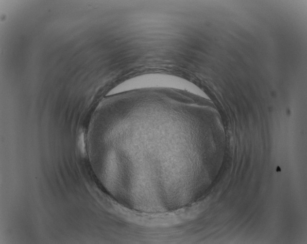 X0000076430042200610271744