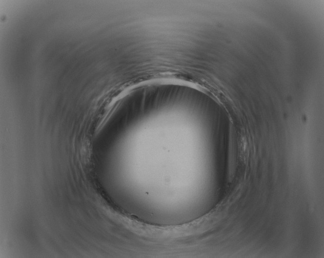 X0000076430043200610271744