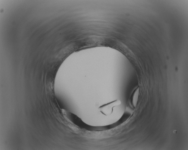 X0000076430045200610271744