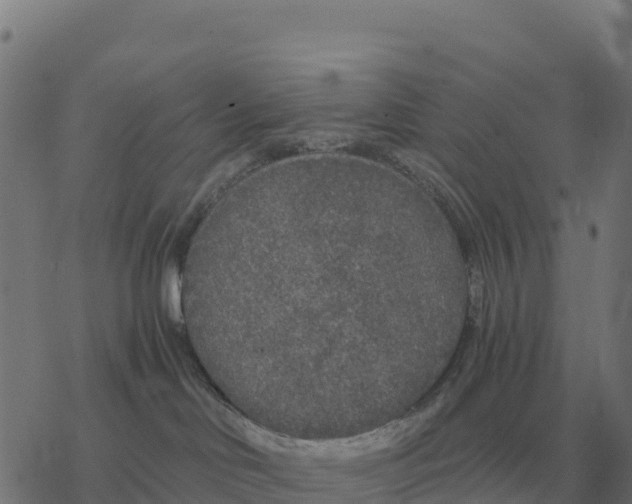 X0000076430046200610271744