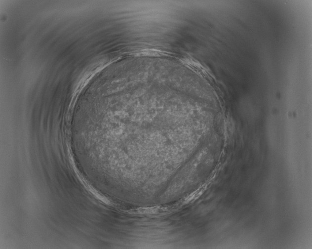 X0000076430049200610271743