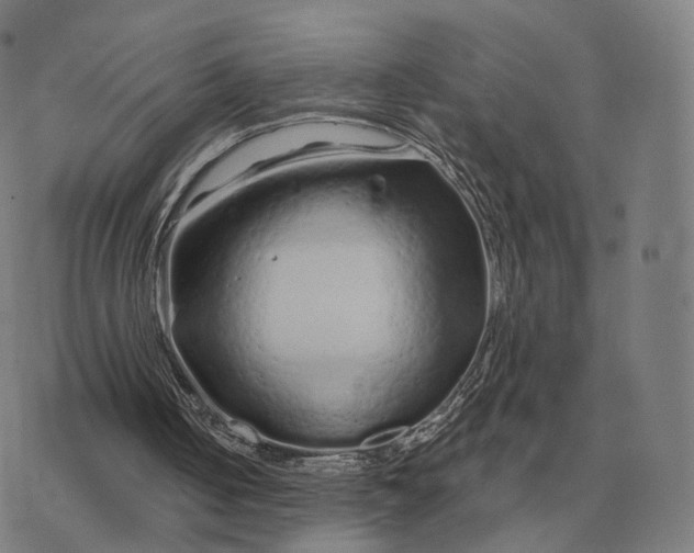 X0000076430050200610271743