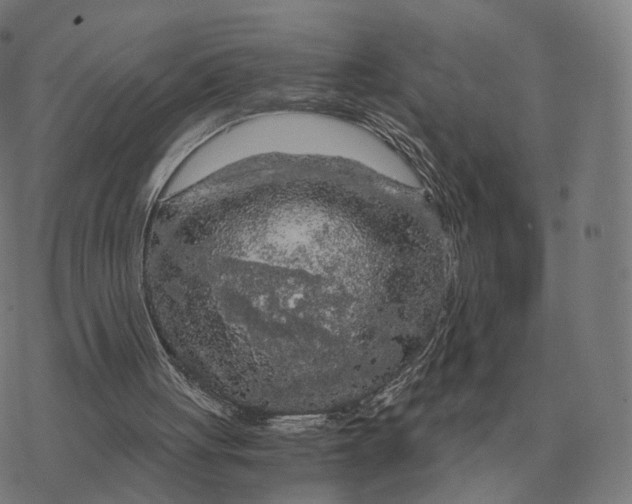 X0000076430051200610271743