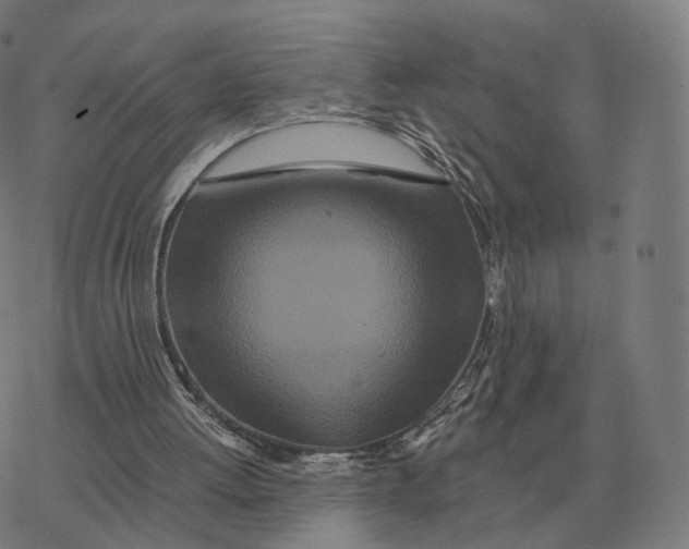 X0000076430052200610271743