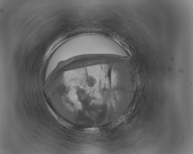 X0000076430053200610271743