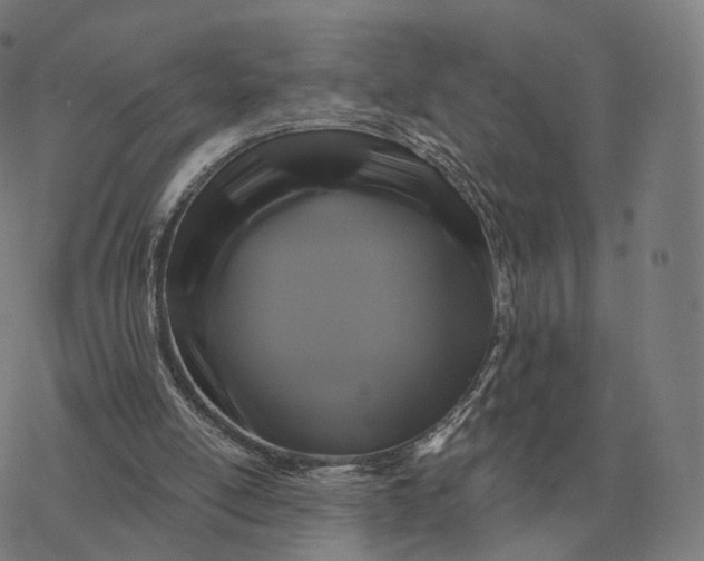 X0000076430054200610271743