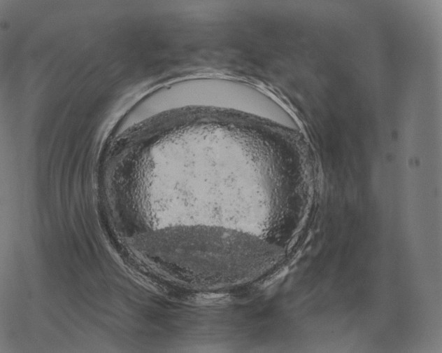 X0000076430055200610271743