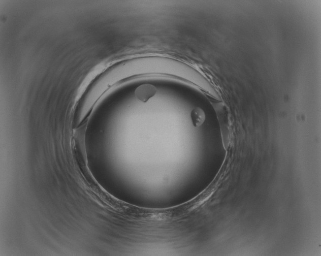 X0000076430056200610271743