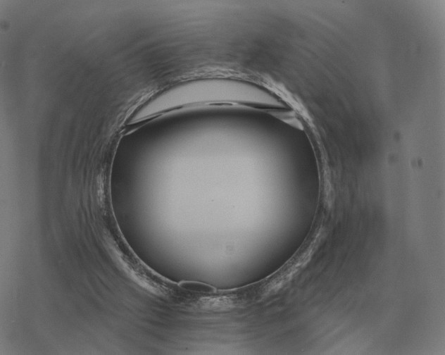 X0000076430057200610271743