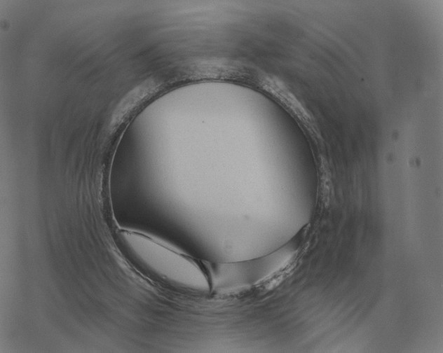 X0000076430058200610271743