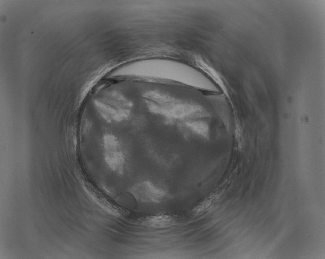 X0000076430059200610271743