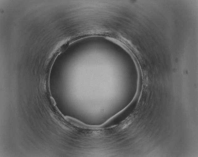 X0000076430060200610271743