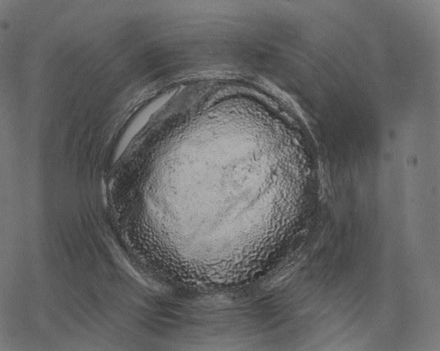 X0000076430061200610271743