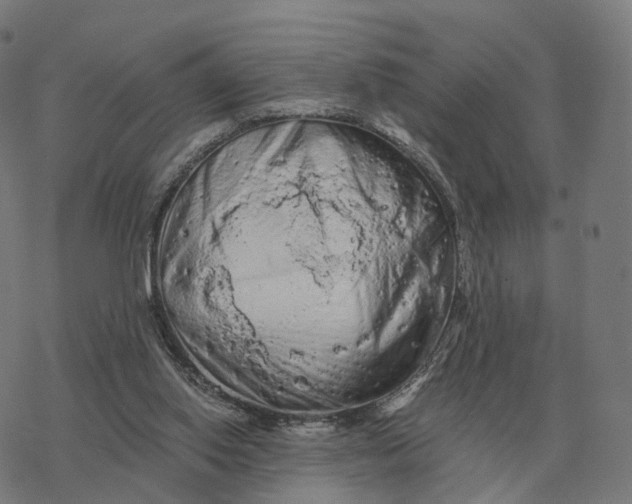 X0000076430062200610271743