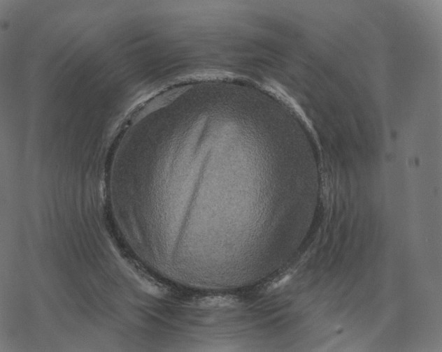 X0000076430063200610271743