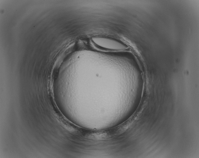 X0000076430065200610271743