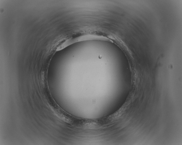 X0000076430066200610271744