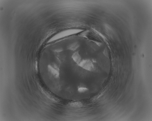 X0000076430067200610271744