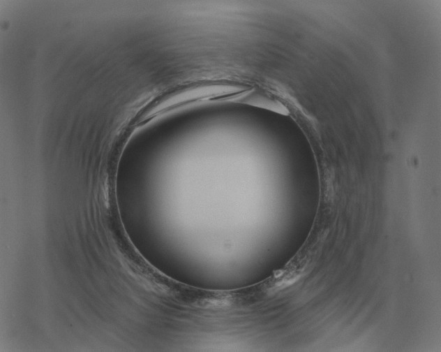 X0000076430068200610271744