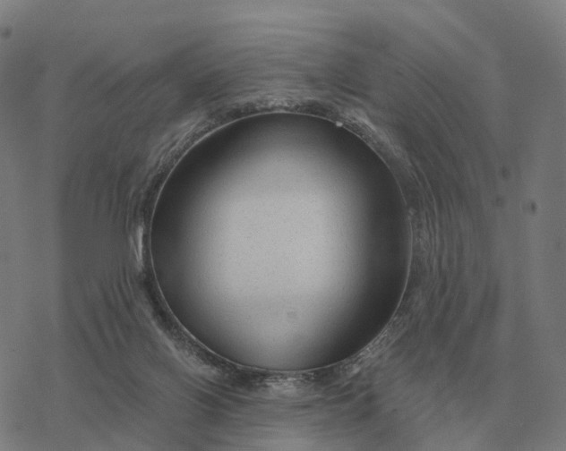 X0000076430070200610271744