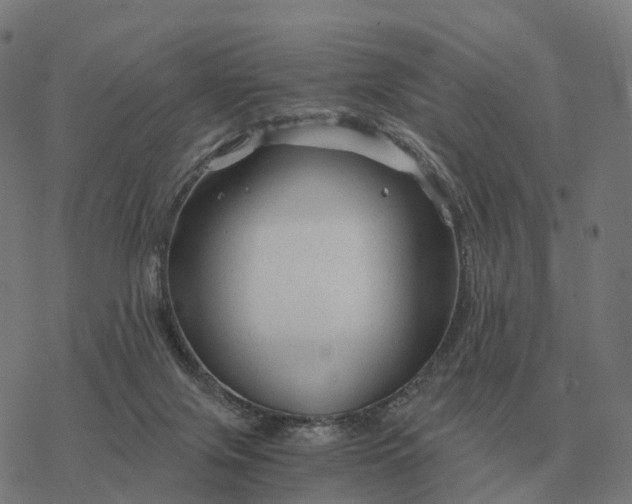 X0000076430071200610271744