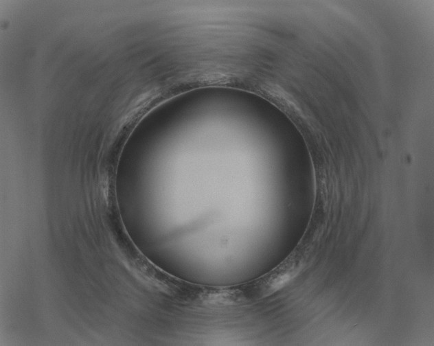 X0000076430072200610271744