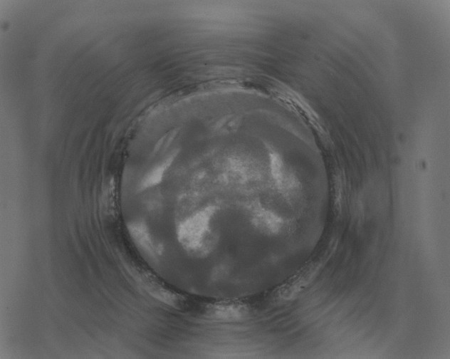 X0000076430073200610271744