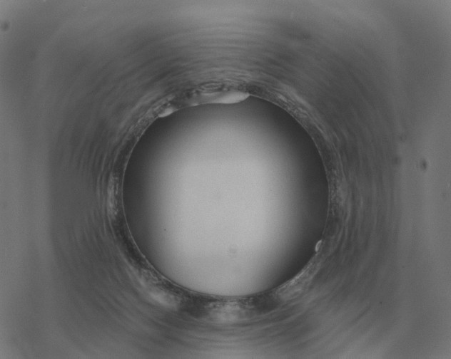 X0000076430074200610271744