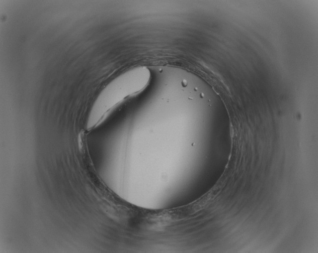 X0000076430075200610271744