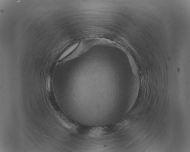 X0000076430076200610271744