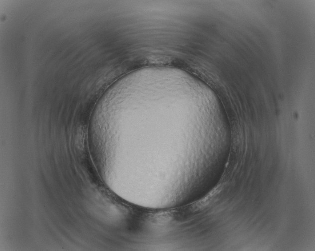 X0000076430078200610271744