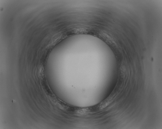 X0000076430079200610271744