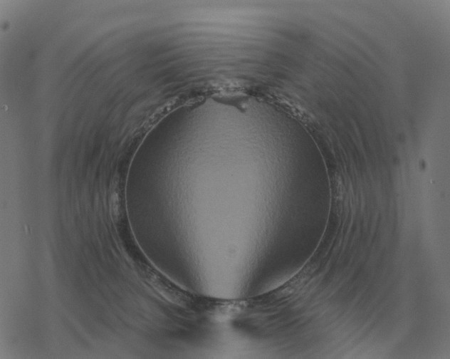 X0000076430080200610271744