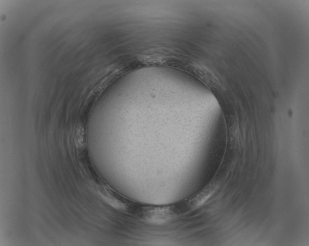 X0000076430081200610271744