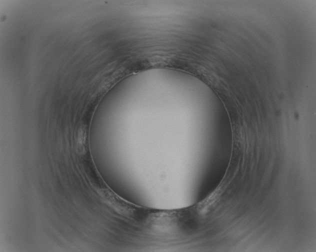 X0000076430082200610271744