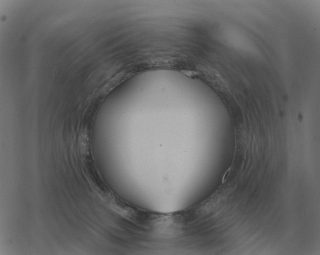 X0000076430083200610271744