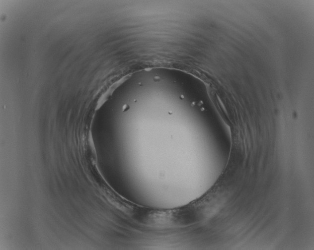 X0000076430084200610271744