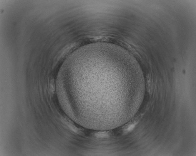 X0000076430085200610271744