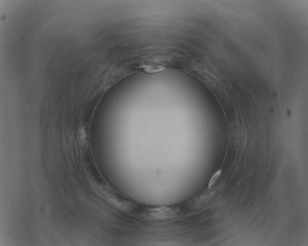 X0000076430087200610271744