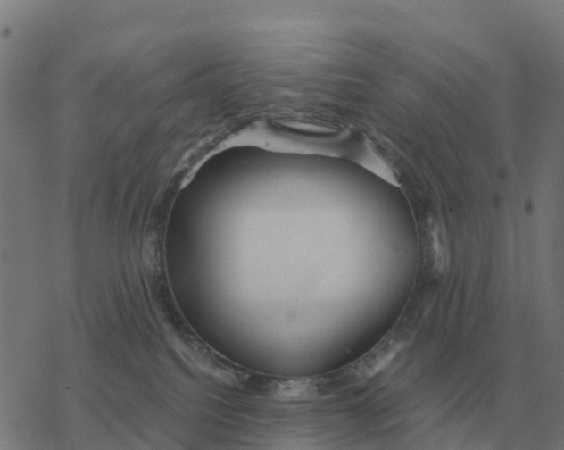 X0000076430088200610271744